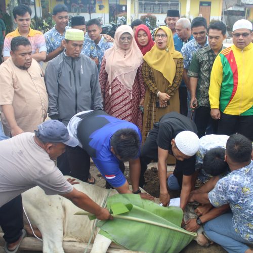 MAN 1 Padangsidimpuan Laksanakan Penyembelihan 2 Hewan Kurban 1445 H/2024M